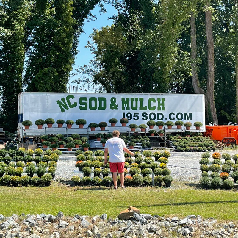 i95-sod-sign I95 sod sign