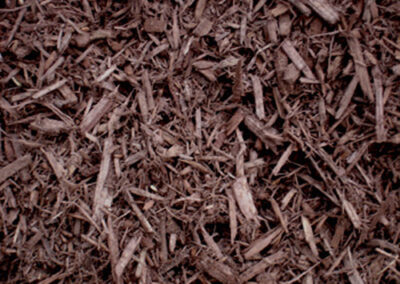 chocolate-mulch chocolate mulch